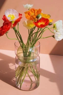 Fazeek Balance Pink Green 22cm Vase