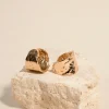 Humble + Heart Beaten Wide EOL Gold Hoop Earrings