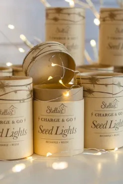 Stellar Haus Charge & Go Silver Warm White Rechargable 3m String Seed Lights
