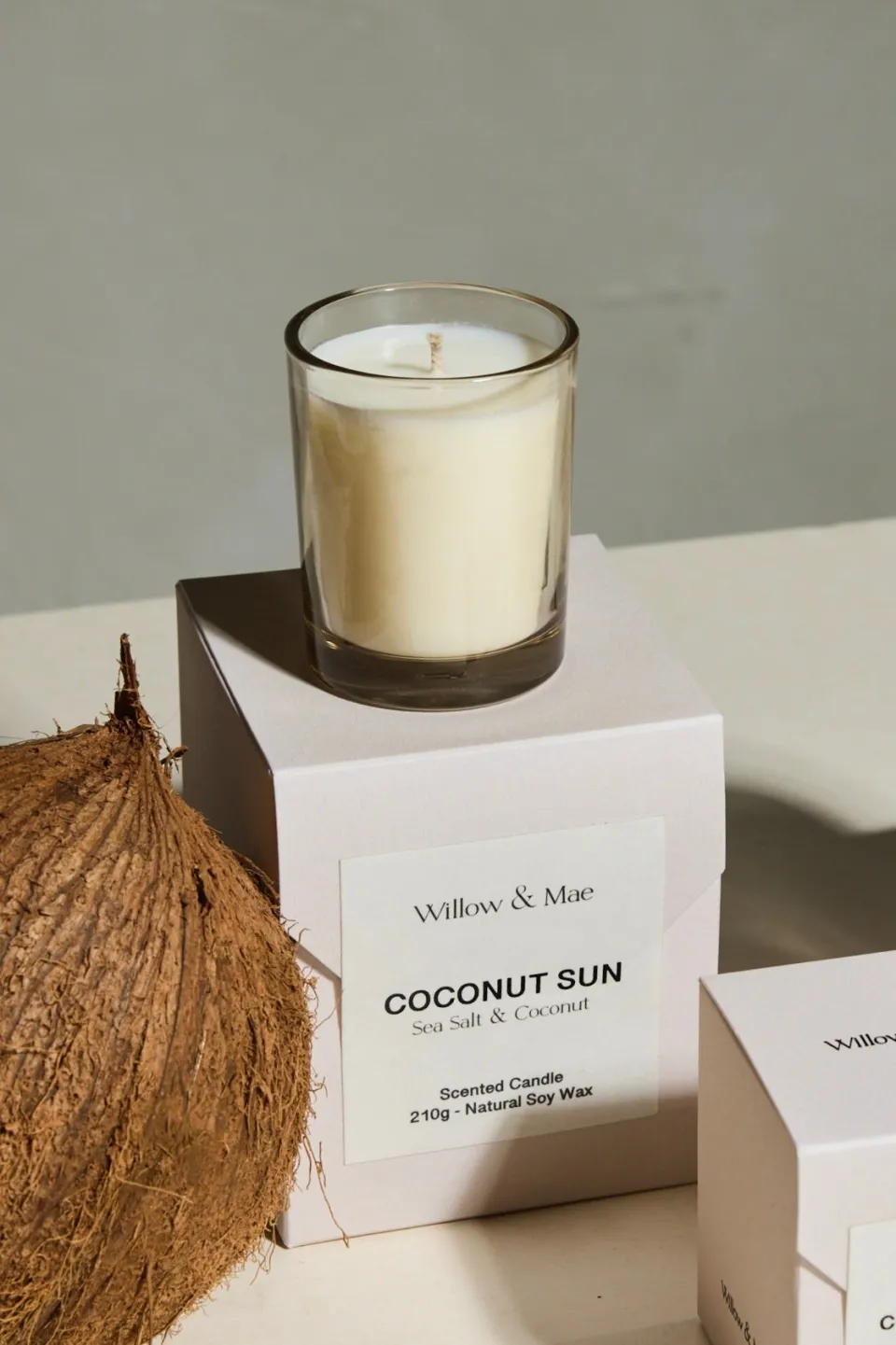 Willow u0026 Mae Coconut Sun Sea Salt + Coconut 60g Soy Candle