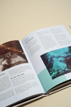 Bookreps NZ Complete Guide To Self Care