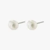 Pilgrim Emory Freshwater Pearl Stud Gold Plated Earrings