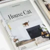 Flying Kiwi House Cat