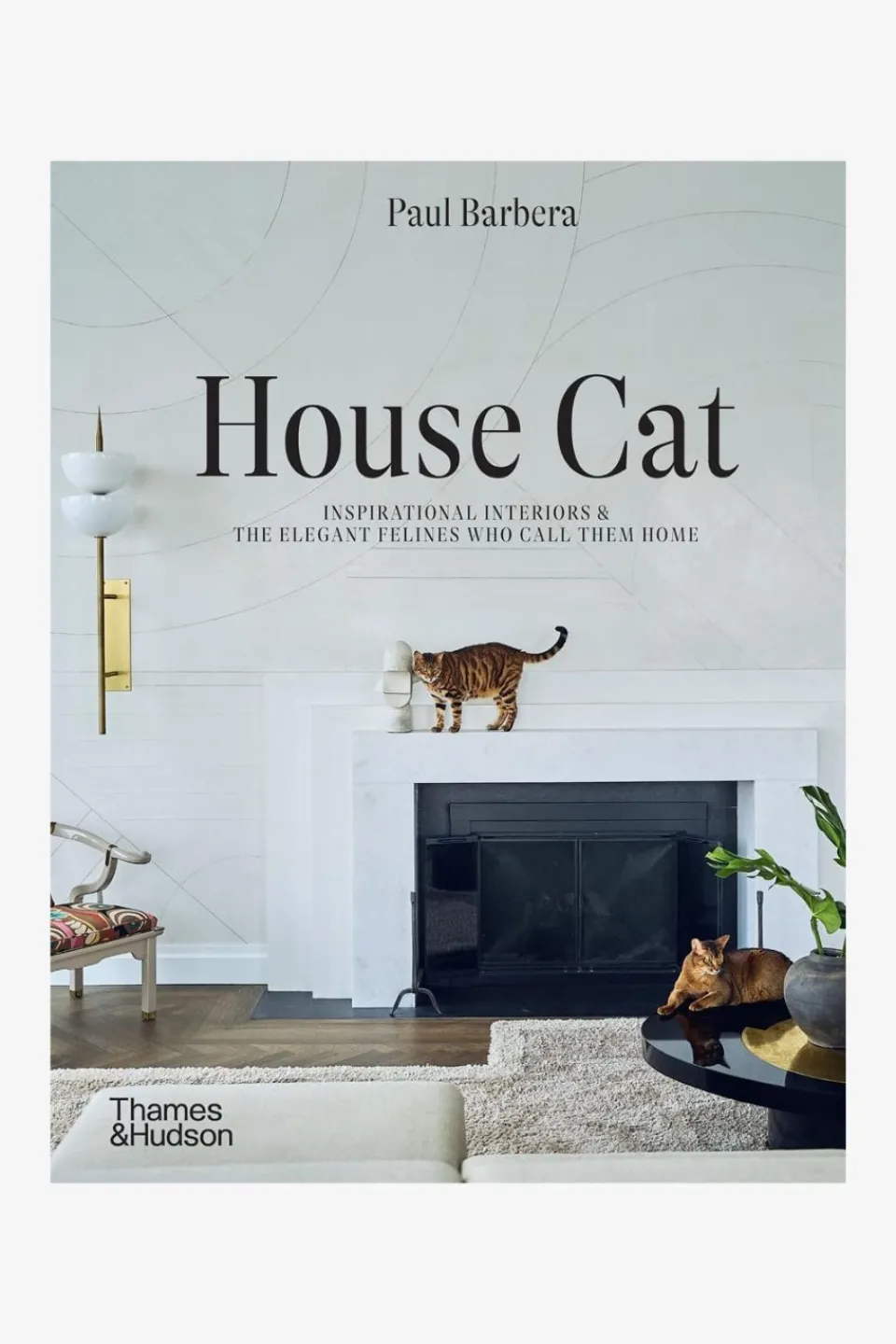 Flying Kiwi House Cat