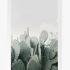 Papier HQ In The Desert Cacti White Framed A2 Print