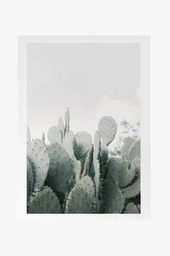 Papier HQ In The Desert Cacti White Framed A2 Print