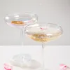 Home Lab Iridescent Champagne Coupe Glass Set 4