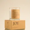 Paddywax Mood Joy Misted Lime 226g Glass Candle
