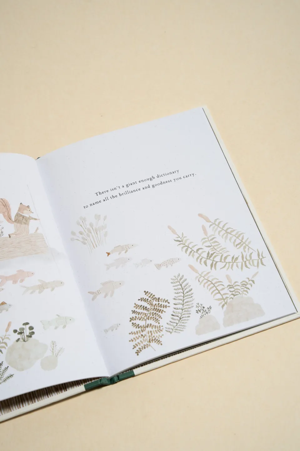 Compendium More Than A Little Appreciation Book