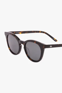 Sito Now Or Never Havana Iron Grey Polar Sunglasses
