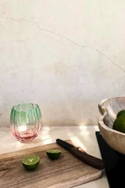 Home Lab Petal Watermelon Stemless Wine Glass Set 4