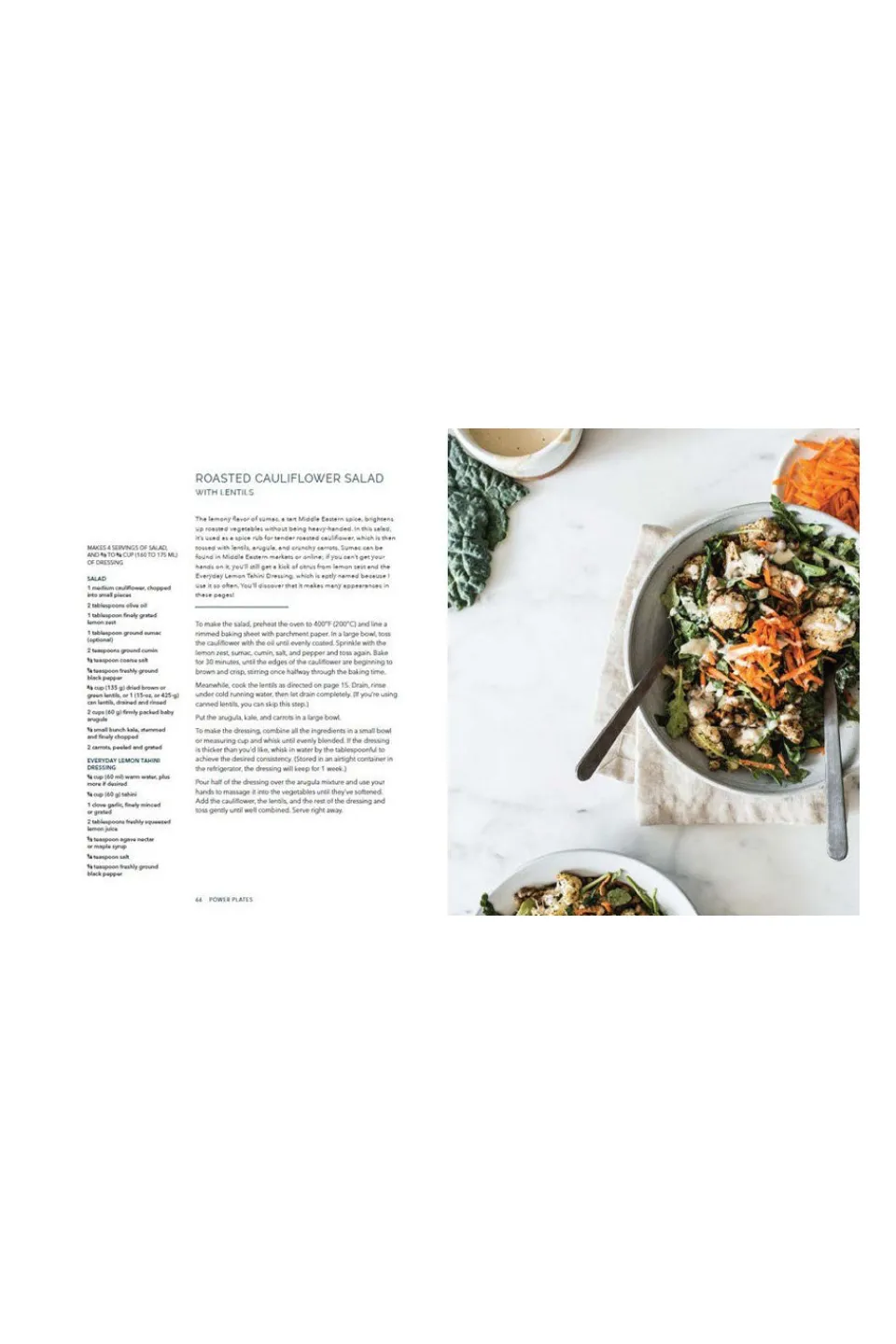 Flying Kiwi Power Plates: EOL 100 Nutritionally Balanced Vegan Meals
