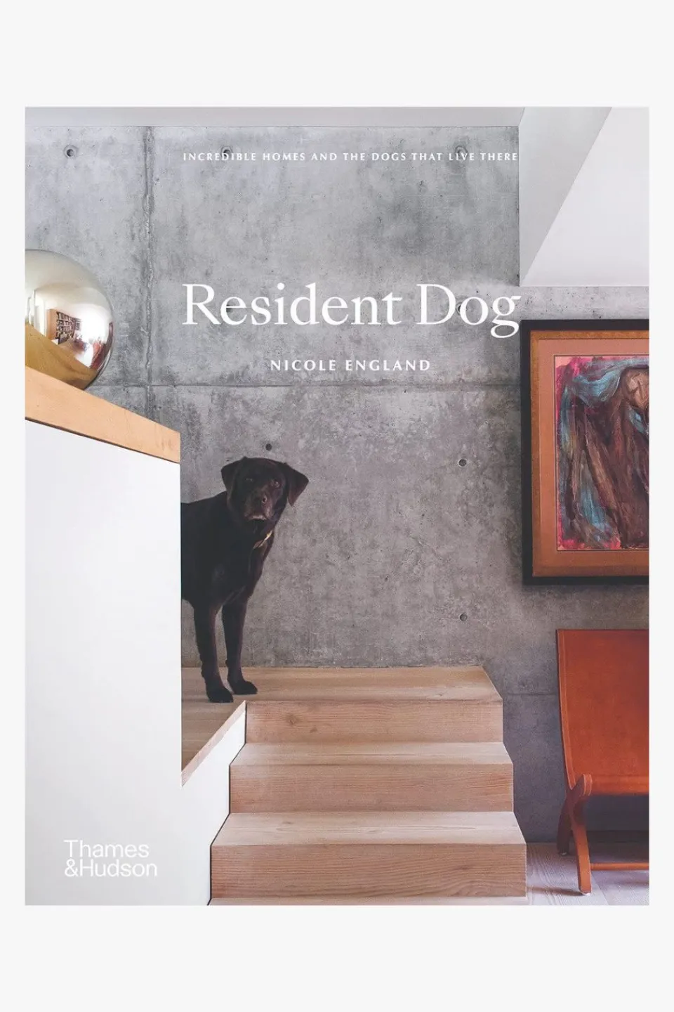 Flying Kiwi Resident Dog (Compact Edition)