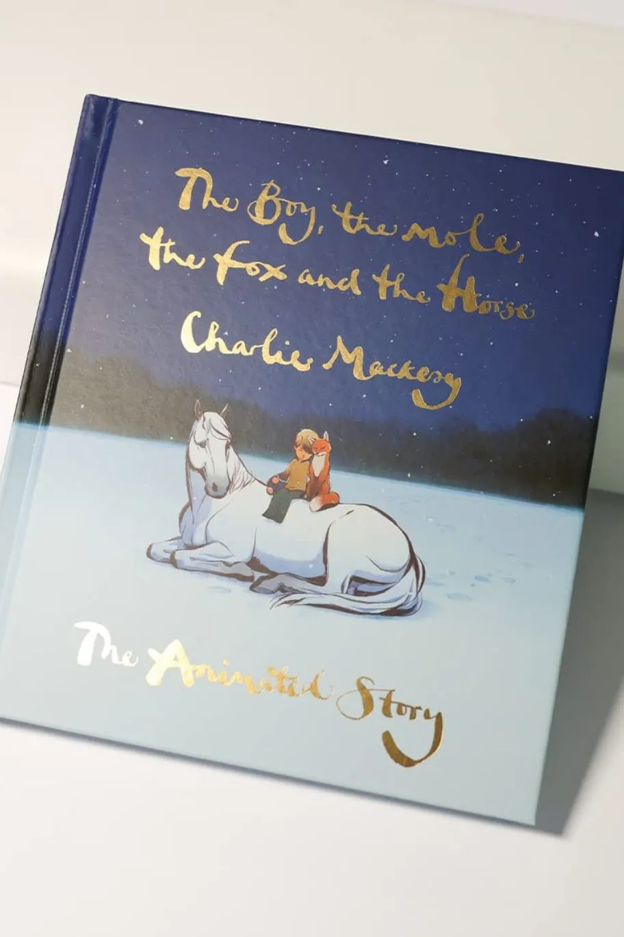 Flying Kiwi The Boy, the Mole, the Fox and the Horse EOL The Animated Story