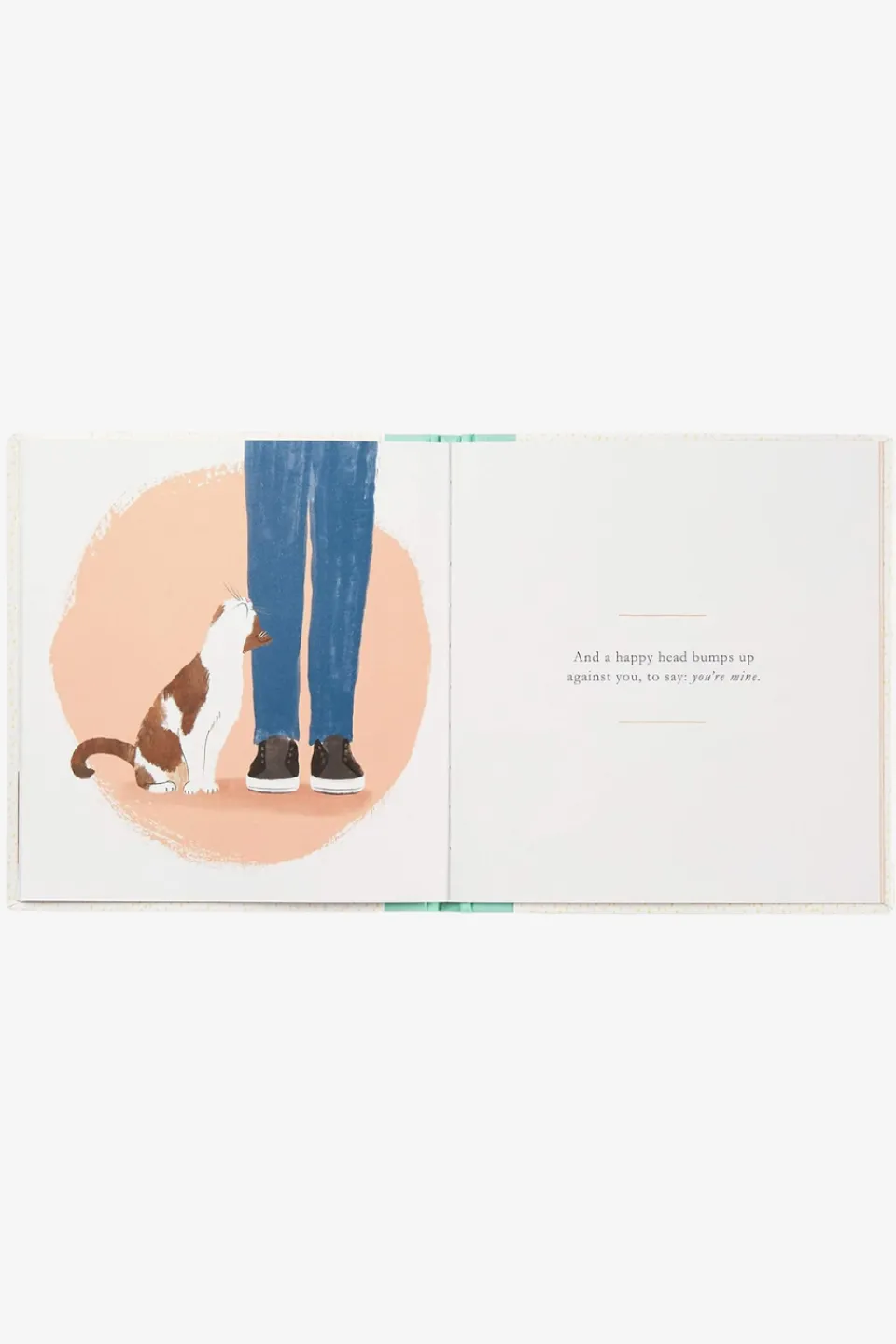 Compendium When You Love A Cat