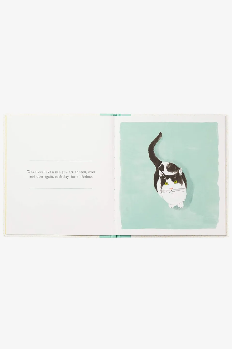 Compendium When You Love A Cat