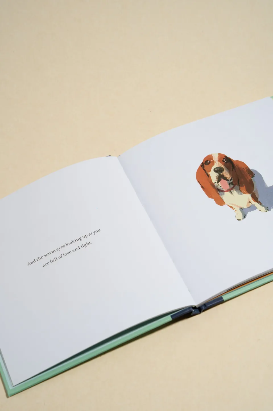 Compendium When You Love A Dog